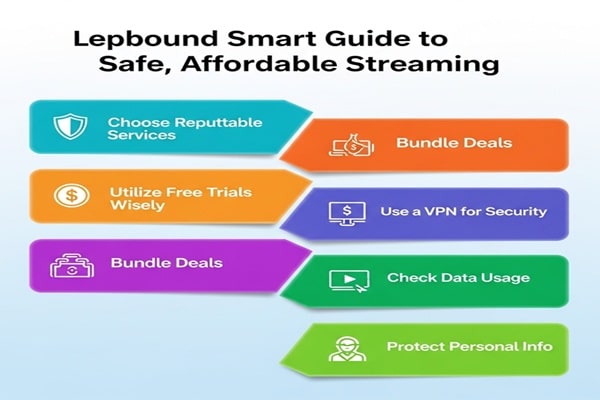 Lepbound Smart Guide to Safe, Affordable Streaming